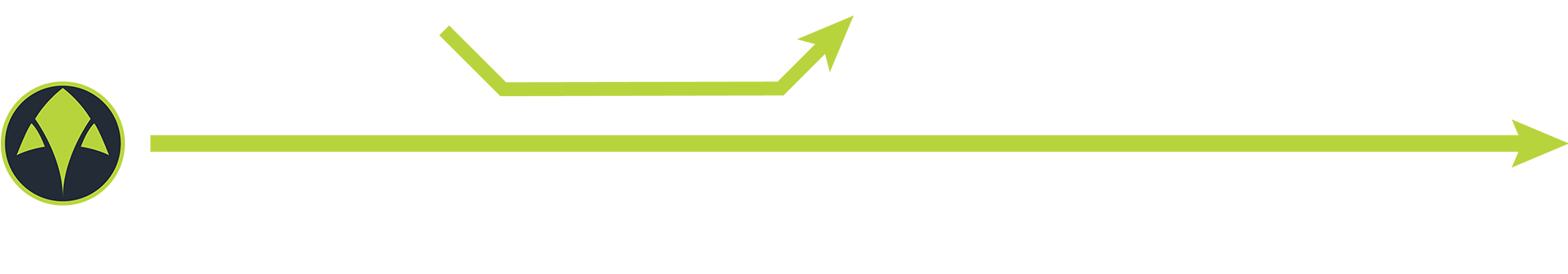 Eagle Ray Service Process